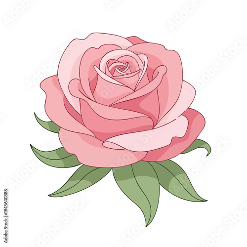 A delicate pink rose with layered petals and green leaves against a white background