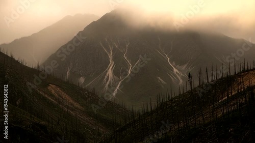 Misty Mountain Landscape with Dramatic Clouds and Silhouetted Trees.