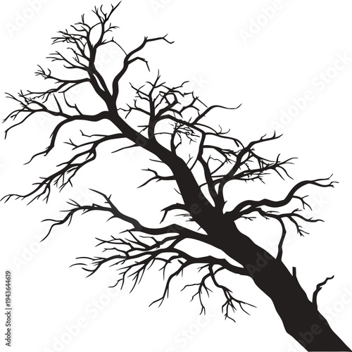 Dark silhouette of an old withered tree with bare branches isolated on white background, ominous and spooky design element