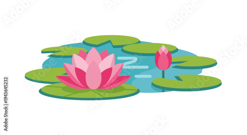 Pink lotus flowers on pond with lily pads.
