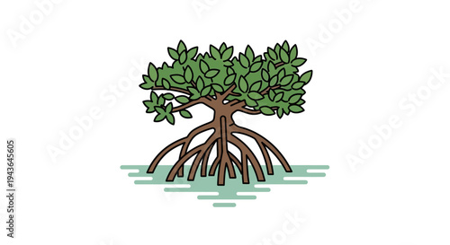 A tree with exposed roots in water.