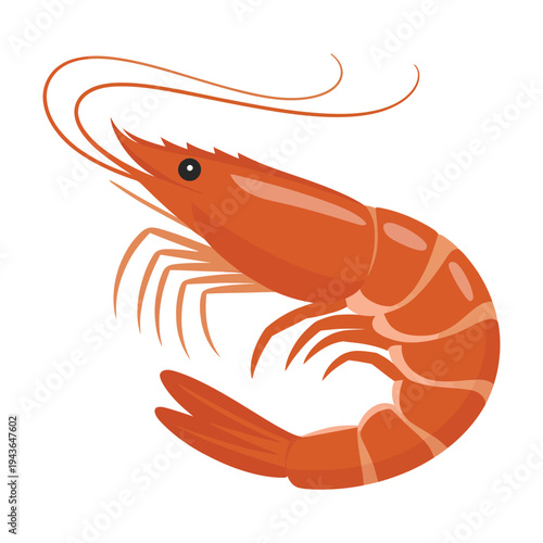 shrimp isolated on white background