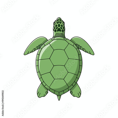 Top-down view of a simplified green sea turtle with a patterned head