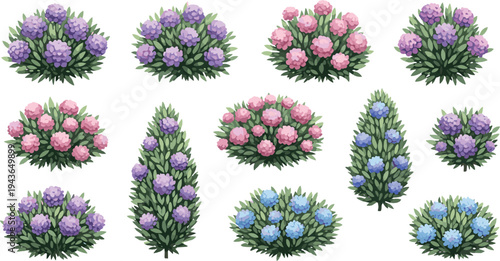 Floral Bouquet Vector Set with Hydrangea, Rose and Garden Flowers Decorative Botanical Arrangements for Wedding Design