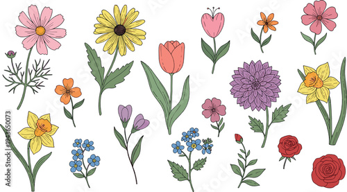 Wildflower Garden Collection with Daisies, Tulips, Daffodils, Forget Me Nots and Decorative Botanical Spring Flowers Vector Illustration Set