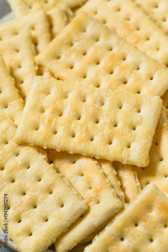 Organic Salty Rectrangle Butter Crackers