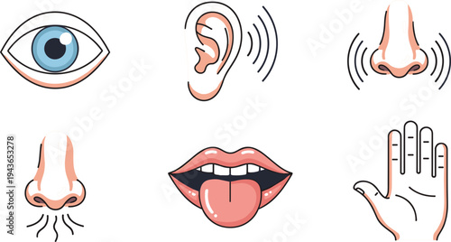 Five human senses icons with eye, ear, nose, tongue and touch hand symbols for sensory perception education vector illustration set