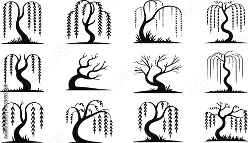 Willow tree silhouettes set decorative weeping trees nature botanical vector illustration landscape design elements isolated collection