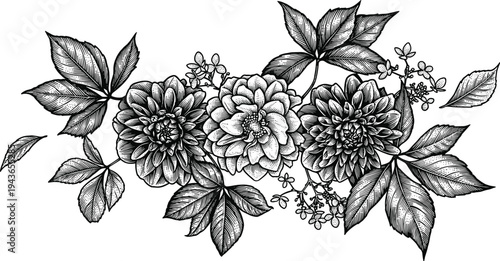 Floral bouquet of dahlia flowers and leaves in retro woodcut engraving technique