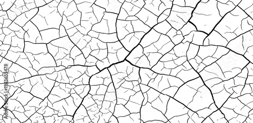 Abstract pattern of cracked surface texture, resembling a dry earth or paint crackle, rendered in stark black and white