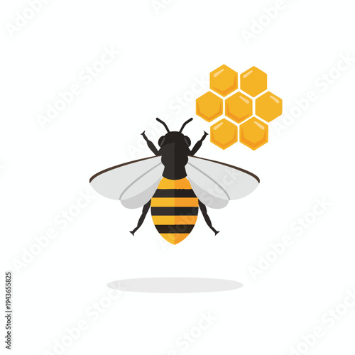 A cartoon bee with striped body and translucent wings hovers near a honeycomb