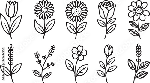 A row of simple black outline drawings showing different types of flowers and plant stems