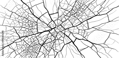 Abstract network of interconnected lines forming a complex, organic pattern resembling a cracked surface or a city map