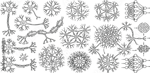 Scientific illustrations depicting biological neurons and abstract neural networks, representing brain function, intelligence, and core concepts for artificial intelligence and machine learning