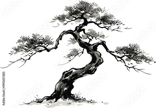 Elegant sumi-e style illustration of a meticulously cultivated bonsai tree, capturing the serene beauty and artistic essence of traditional Japanese horticultural design