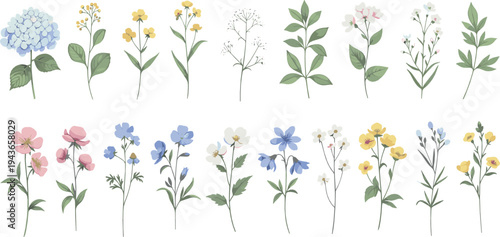 Delicate Wildflower Botanical Collection with Blue, Pink and Yellow Garden Flowers, Leaves and Stems Natural Floral Vector Illustration Set