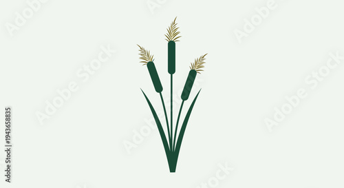 a minimalist illustration of cattails on a plain background.