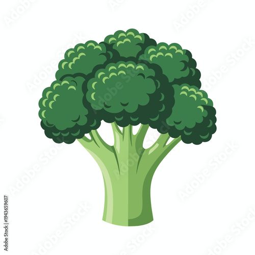 A stylized, flat graphic illustration of a single stalk of broccoli