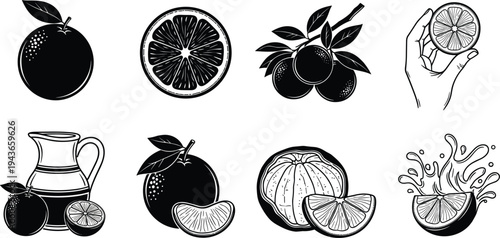 Vintage Black and White Citrus Fruit Illustration Set Featuring Oranges, Lemons, and Juices for Retro Food and Beverage Designs