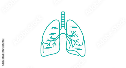 Stylized illustration of human lungs and trachea.