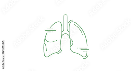 Stylized illustration of human lungs with a clean, modern aesthetic.
