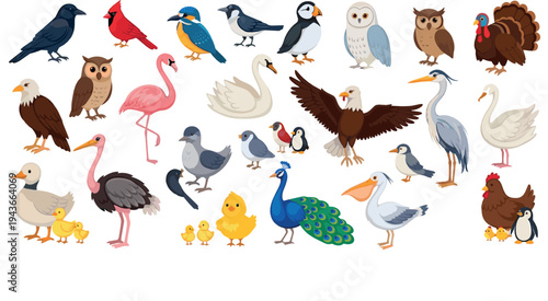 Wild and Farm Birds Vector Set with Eagle, Owl, Flamingo, Peacock, Swan, Duck, Turkey and Colorful Bird Collection