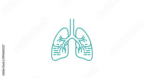 Stylized Line Art Illustration of Human Lungs Anatomy.