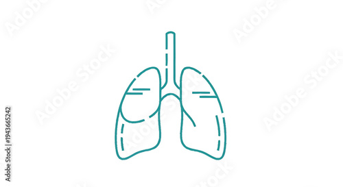Stylized Line Art Illustration of Human Lungs.