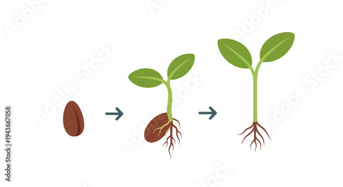 Seed to Sapling: Plant Growth Stages, Roots, Leaves, and Sprouts Icon