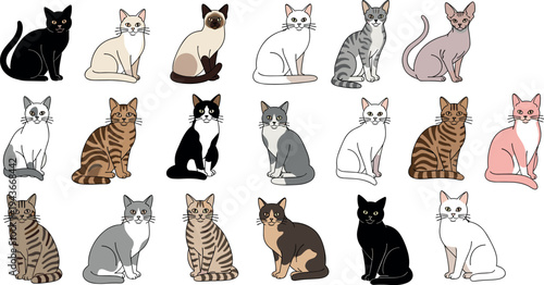 Different Cat Breeds Vector Set with Sitting Domestic Cats Cute Feline Pet Collection for Animal and Pet Care Design