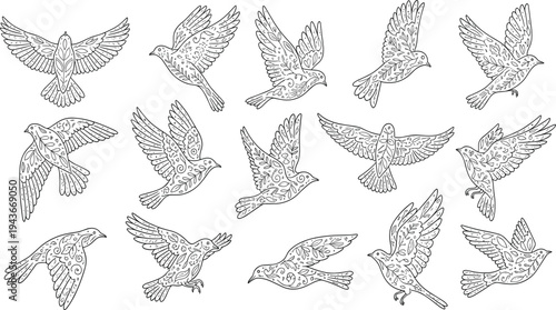 Hand drawn flying bird outline collection with ornamental patterns, decorative line art wildlife birds vector illustration set