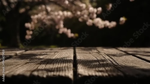 Wooden table with cherry blossom tree.