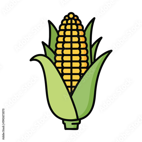 Stylized cartoon of a ripe ear of yellow corn, fully husked, on a white background