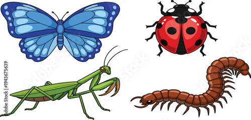 Colorful Insect Cartoon Vector Set Featuring Blue Butterfly, Ladybug, Praying Mantis and Centipede Characters Isolated for Nature Education, Kids Illustrations and Wildlife Designs