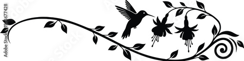 Graceful hummingbird amidst a delicate floral vine design with swirling leaves isolated on white background, Vector