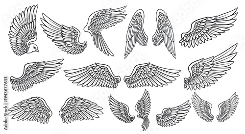 Collection of Diverse Bird and Angel Wing Illustrations