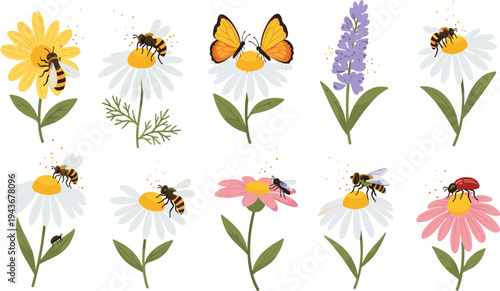 Pollinator insects on wildflowers collection with bees butterflies and ladybugs on blooming meadow plants botanical vector illustration set