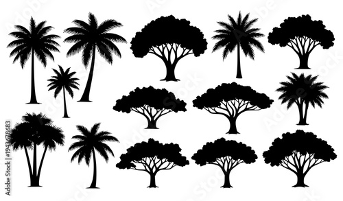 Black and white tropical tree silhouettes vector collection jungle plants isolated on white background