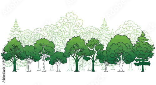 Lush Green Forest Landscape with Diverse Trees Silhouette