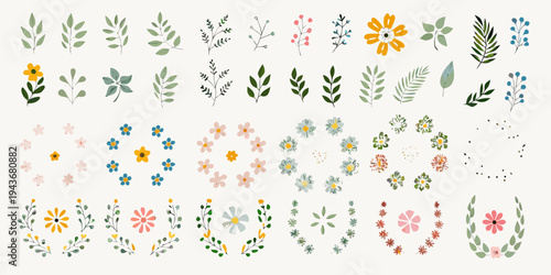 Colorful botanical illustrations featuring various flowers leaves and floral arrangements