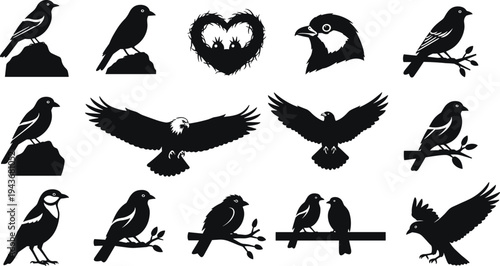Comprehensive black silhouette collection of various birds featuring eagles in flight songbirds on branches and chicks in a heart shaped nest