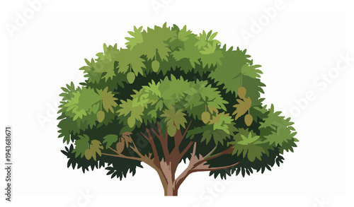 Mango Tree with Ripe Fruits Tropical Vector Illustration Isolated on White