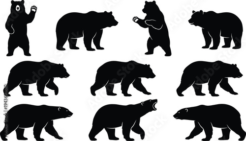 Collection of bear silhouettes in various poses, walking standing roaring bear vector set, wild animal black silhouettes isolated for design