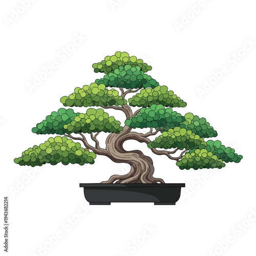 Detailed cartoon illustration of a mature, twisted bonsai tree with lush green foliage in a black pot
