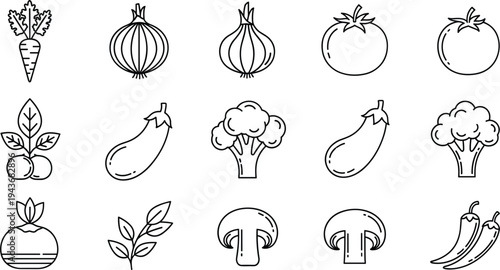 Vegetable Line Icon Vector Set with Carrot, Onion, Tomato, Eggplant, Broccoli, Mushroom and Chili Simple Outline Food Icons Collection