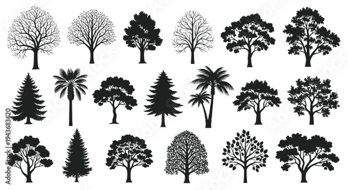 Diverse Tree Silhouettes Collection: Deciduous, Evergreen, Palms - Nature Graphics