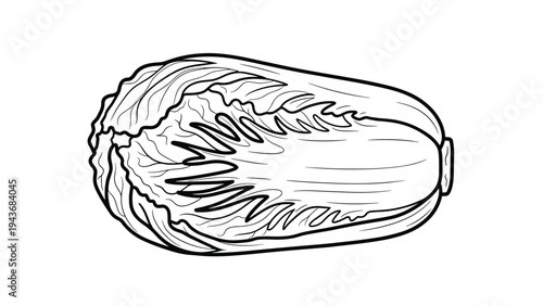 Black and white line drawing of a napa cabbage displays the layers of leaves and the vegetable's characteristic elongated shape.