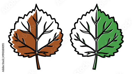 Pair of birch leaves are shown in contrasting colors representing the transition from green summer growth to brown autumn decay.