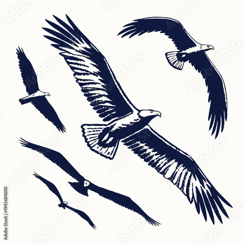 Eagle silhouettes in flight set collection of majestic birds of prey soaring against clear sky graphic vector illustration for wilderness designs