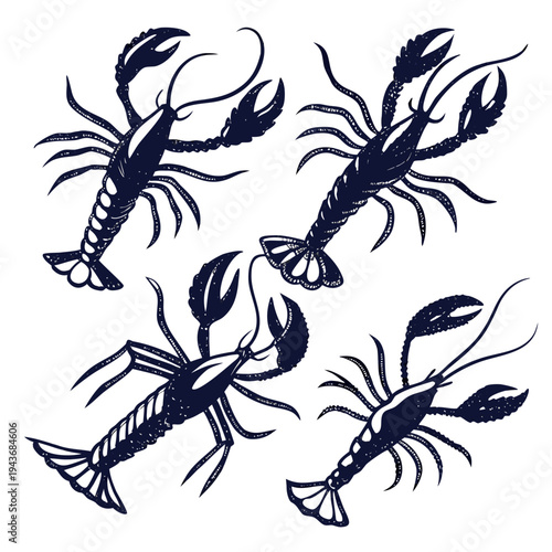 Lobster and crayfish silhouettes set isolated on white background with detailed shellfish drawings showcasing pincers and segmented tails in water